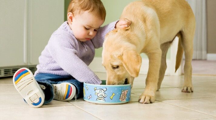 the child eats from a dog bowl and becomes infected with worms